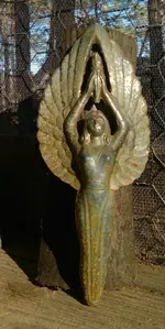 IMAG1651.webp
