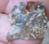 paleo0023.webp