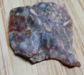 paleo0021.webp paleo0021.webp