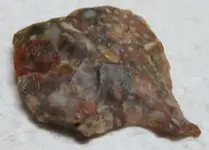 paleo0017.webp