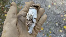 pipe bowl.webp