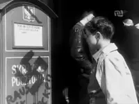 miniatura_teledysku,3uztkXjWEpw.webp miniatura_teledysku,3uztkXjWEpw.webp