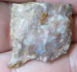 paleo0026.webp