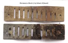 harms.webp