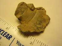 IMG_4320.webp IMG_4320.webp