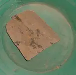 DSCF0008.webp