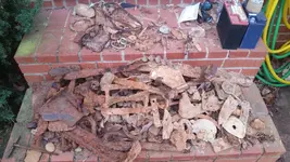 20161212_075052.webp 20161212_075052.webp