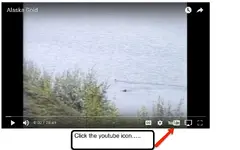 1youtube.webp 1youtube.webp