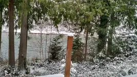 snow 20161.webp
