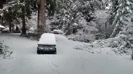 snow 2016.webp