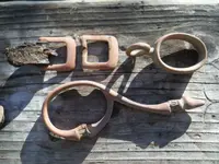 Horse Stuff (Large).webp