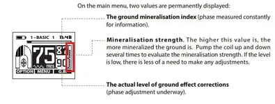 mineralizationxp.webp