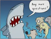 AnyMoreQuestions.webp