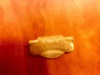 suspenderclip.webp