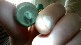 ballbuttonback.webp