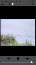 ImageUploadedByTreasureNet.com1481573898.419918.webp ImageUploadedByTreasureNet.com1481573898.419918.webp