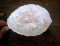 Vault-inoceramus.webp