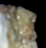gypsumrock1crop.webp