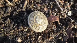 DSCF0287.webp