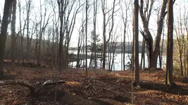 DSCF0288.webp