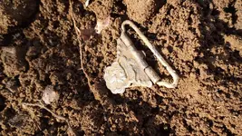 DSCF0292.webp
