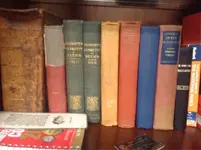 ImageUploadedByTreasureNet.com1483059365.628583.webp