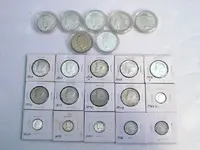 Silver Dollar Lot.webp