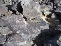 IMGP3417.webp