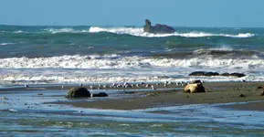 DSCN1355.webp