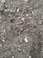 IMG_20161102_1721563.webp