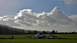 DSCN1362.webp