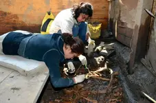 mexico2-jumbo.webp