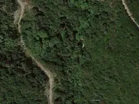 Screenshot_31.webp