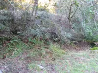 002.webp