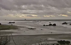 DSCN1400.webp