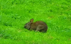DSCN1397.webp