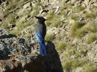 trip 110216 2.webp