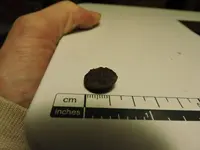 DSCN3013.webp