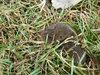 K1600_DSCN0736.webp