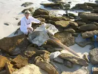 B4E44382-A65A-4683-8E59-DED6D7FBCED2.webp