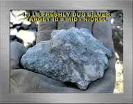 1.3 LB FRESH DUG SILVER SF18YG.webp