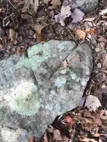 ImageUploadedByTreasureNet.com1478190271.465693.webp