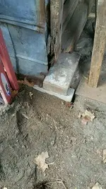 shed1.webp