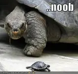 noob128518412353437500.webp