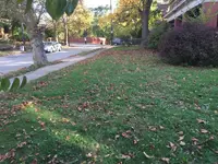 ImageUploadedByTreasureNet.com1477346526.643162.webp