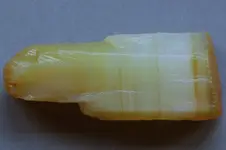 Agate-2016-10-24-Img_2456SS.webp Agate-2016-10-24-Img_2456SS.webp
