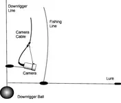 dv_downrigger.webp