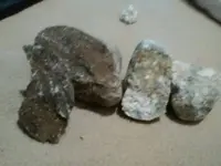 1481665327764.webp