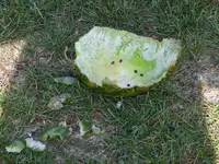 K1600_DSCN0153.webp