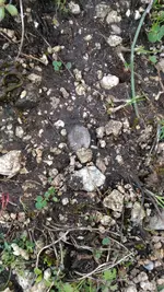 P_20161113_145227.webp P_20161113_145227.webp
